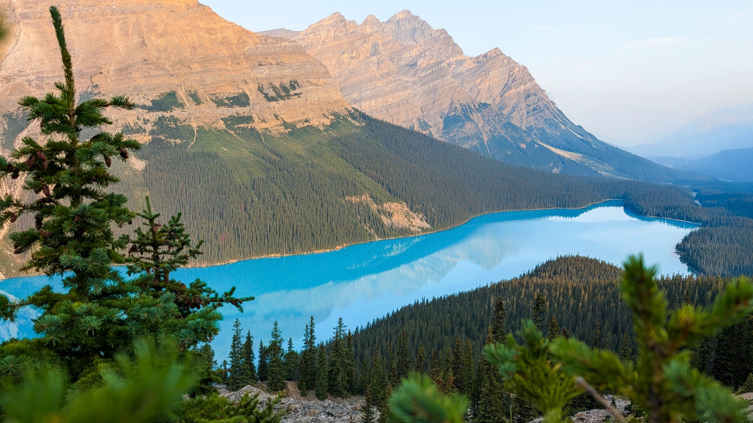 Peyto Lake with bright blue water under a clear summer sky in Banff National Park