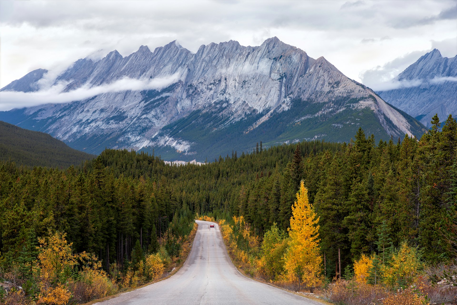 A two-lane road running straight toward a jagged grey mountain range in Jasper National Park, lined with dark spruce and golden autumn aspens