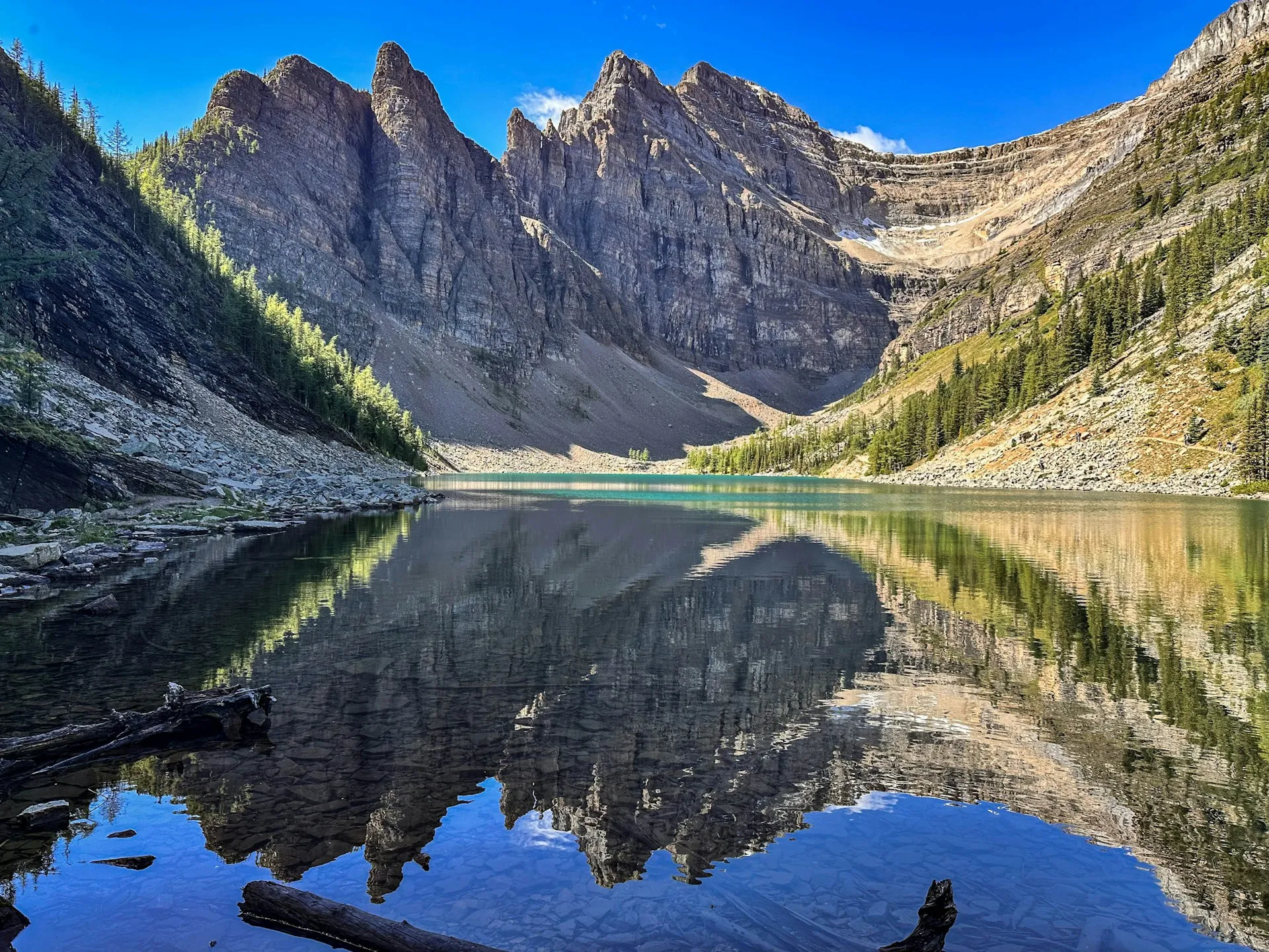 Lake Agnes on a clear, calm day, with jagged grey peaks and forested slopes mirrored in the still water beyond a log-strewn shore, Banff National Park