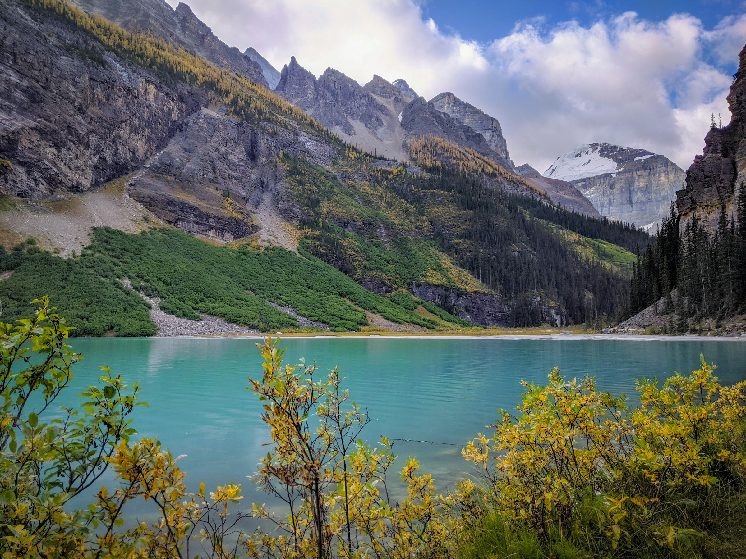 Lake Louise's turquoise water seen from the far end of the lakeshore trail in autumn, golden larches scattered on the slopes above and Victoria Glacier beyond