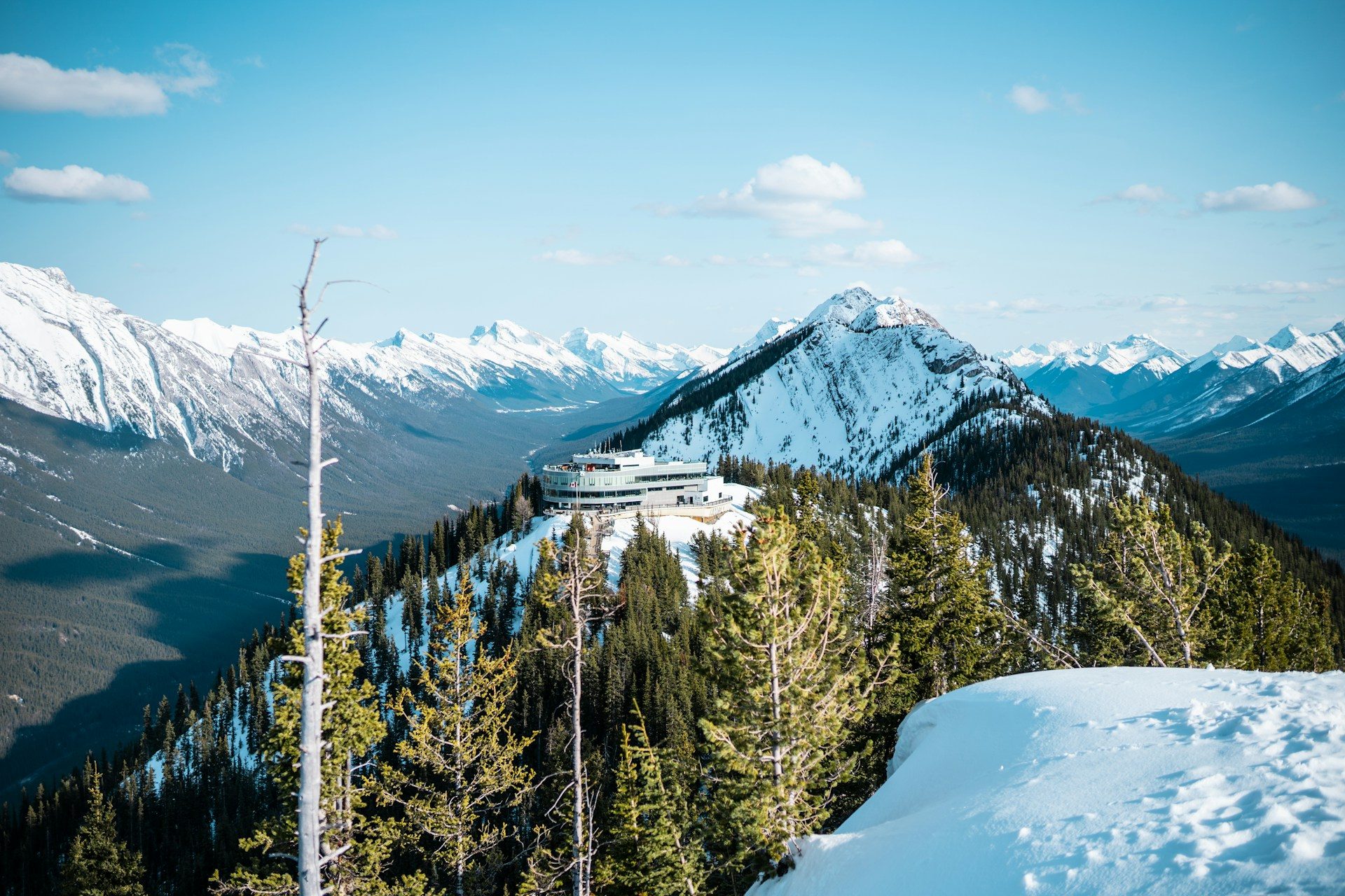The Banff Gondola: Tickets, Timing and What’s Waiting at the Top
