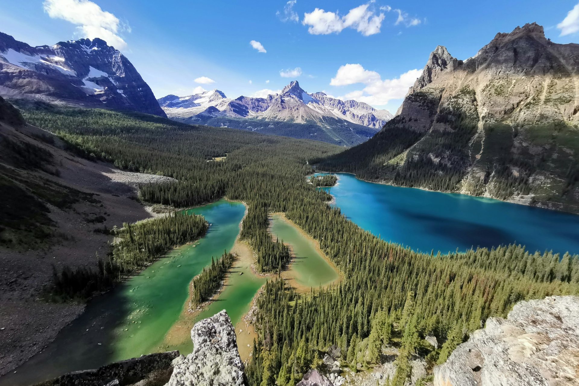 Lake O’Hara Day Trip: How to Get There & Which Hike to Pick