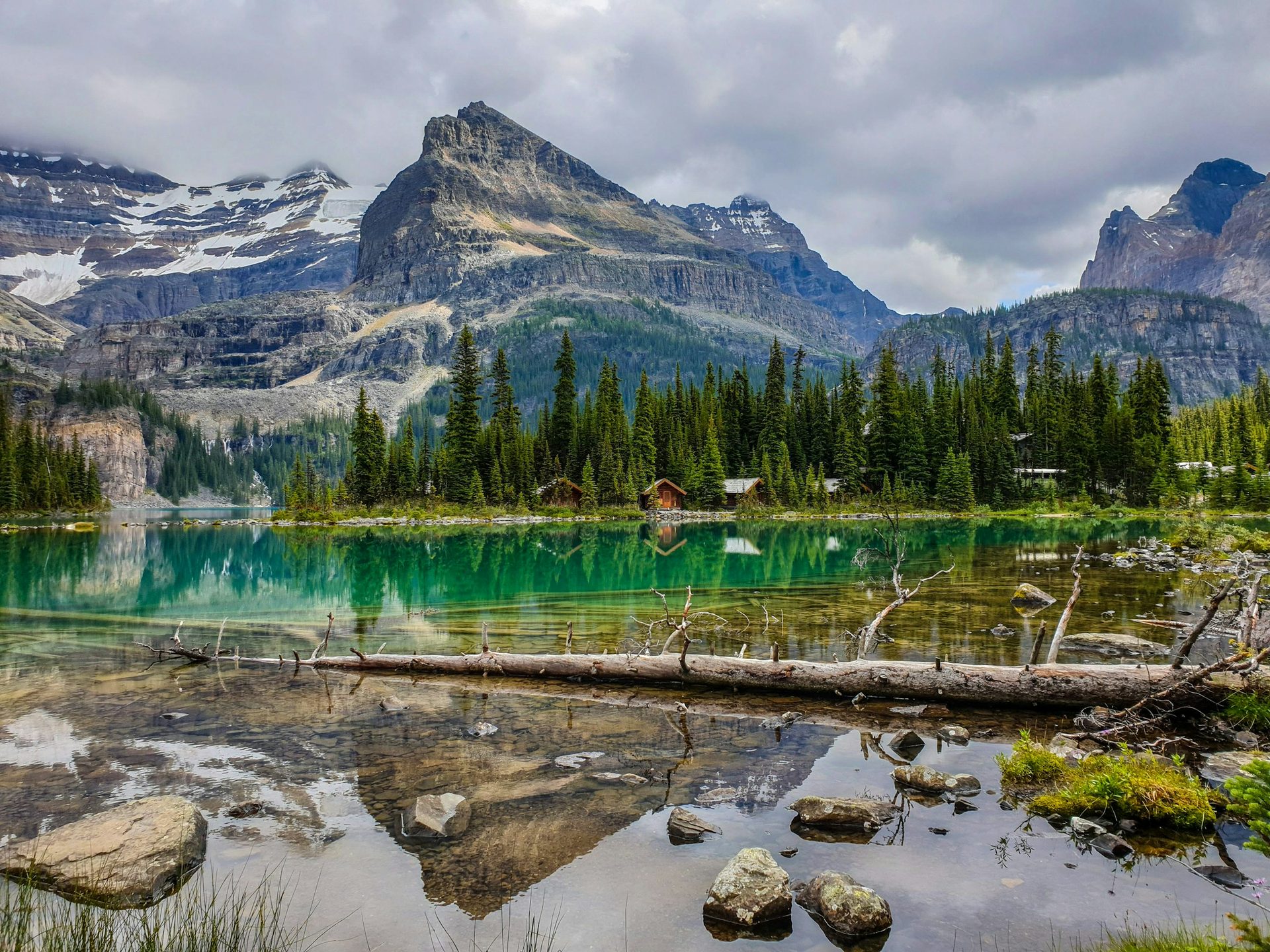 Rocks and a fallen log along the shallow shore of Lake O'Hara, with forest, lodge cabins and snow-streaked peaks across the turquoise water