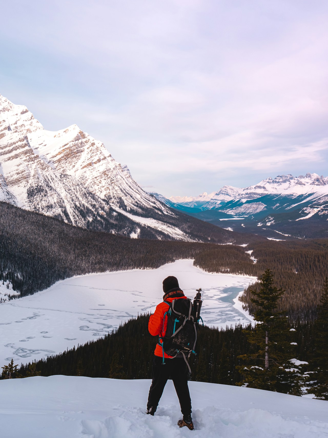 A hiker in a red jacket with a backpack standing in deep snow at the Peyto Lake viewpoint, looking down on the frozen lake and the valley beyond