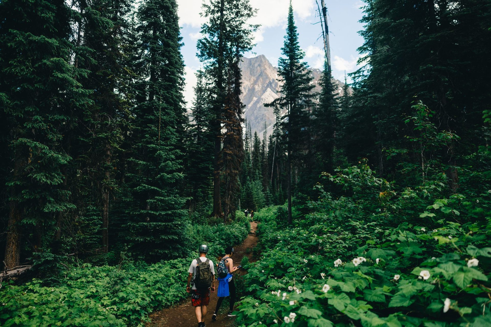Two hikers walking a narrow dirt trail through tall conifers and white wildflowers in Yoho National Park, with a peak just visible through the trees
